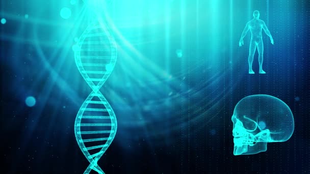 Fond médical avec crâne de brin d'ADN et corps humain
 - Séquence, vidéo