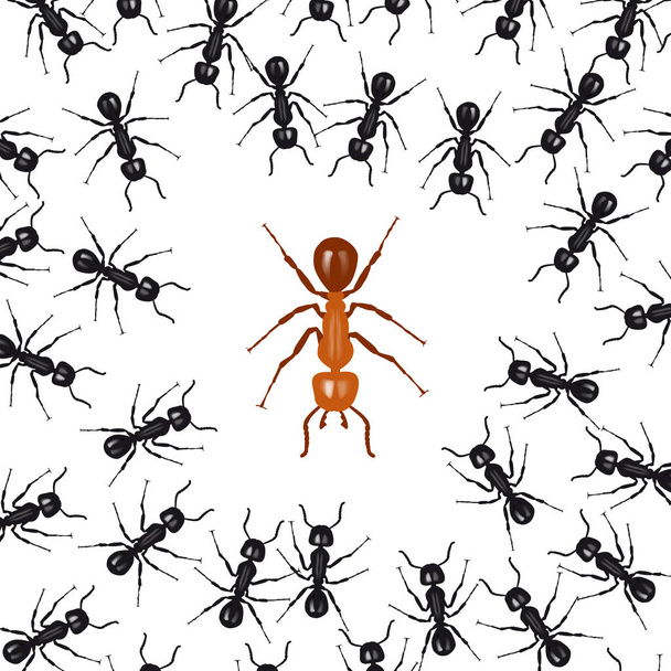 Las hormigas organizadas en un grupo luchan contra una hormiga roja. El concepto de unión es fuerza
 - Vector, imagen