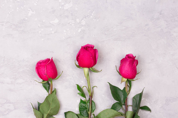 Red roses on a light grey background. Valentines day concept. - 写真・画像