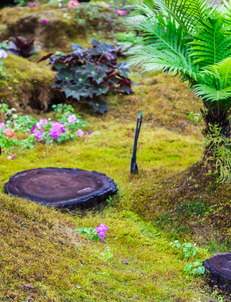 Passos de pedra e decoração de musgo verde no jardim de flores casa aconchegante japonês após a chuva
. - Foto, Imagem