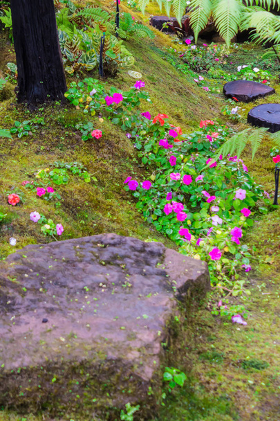 Passos de pedra e decoração de musgo verde no jardim de flores casa aconchegante japonês após a chuva
. - Foto, Imagem