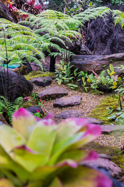 Escaliers en pierre et décoration de mousse verte dans le jardin fleuri confortable japonais après la pluie
. - Photo, image