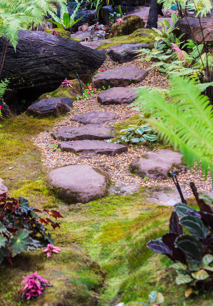 Stone steps and green moss decoration in japanese cozy home flower garden after rain. - Fotoğraf, Görsel