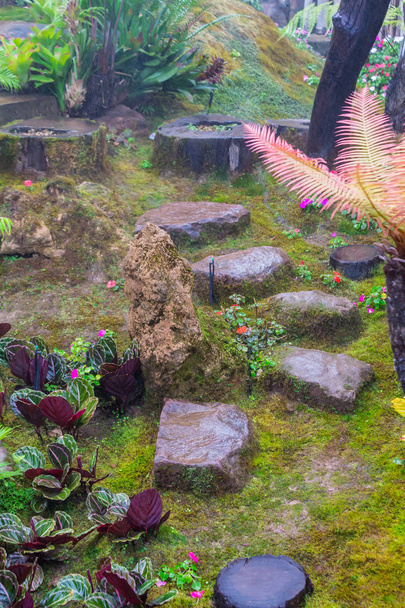 Steen stappen en groen mos decoratie in Japanse bloementuin gezellig thuis na regen. - Foto, afbeelding