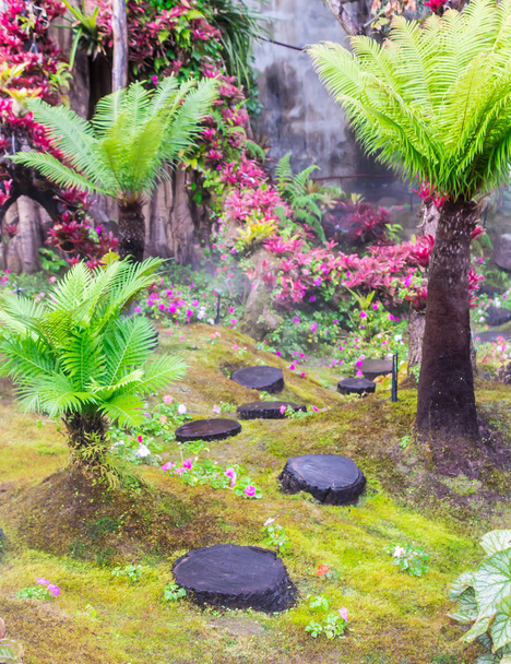Kamienia kroki i zielony mech ozdoba w przytulnym domu kwiat ogród japoński po deszczu. - Zdjęcie, obraz