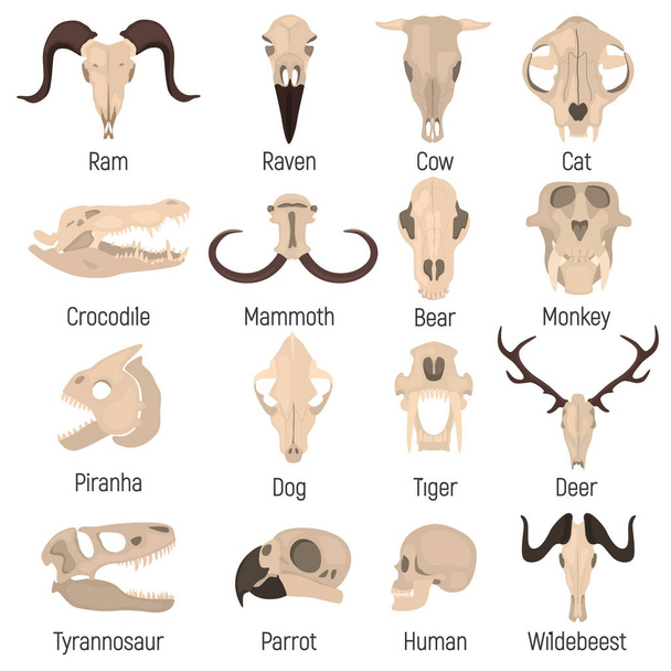 Векторні іконки черепів людини і тварин. Плоский дизайн
 - Вектор, зображення