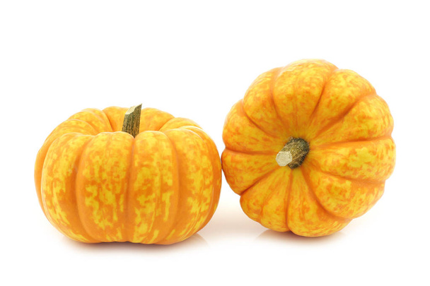 Small yellow and orange pumpkins on a white background - Photo, Image