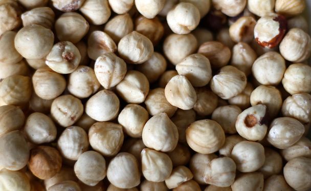 Macro of raw fresh uncooked hazelnuts - Fotografie, Obrázek