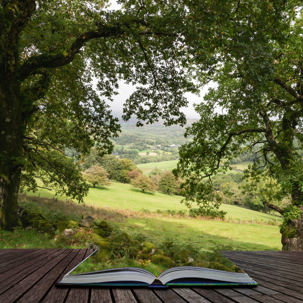 Krásná krajina obraz pohled z propasti chodit v Snowdonia s výhledem na Les Barmouth a Coed-y-Brenin ze stránek v knize kouzelný příběh - Fotografie, Obrázek
