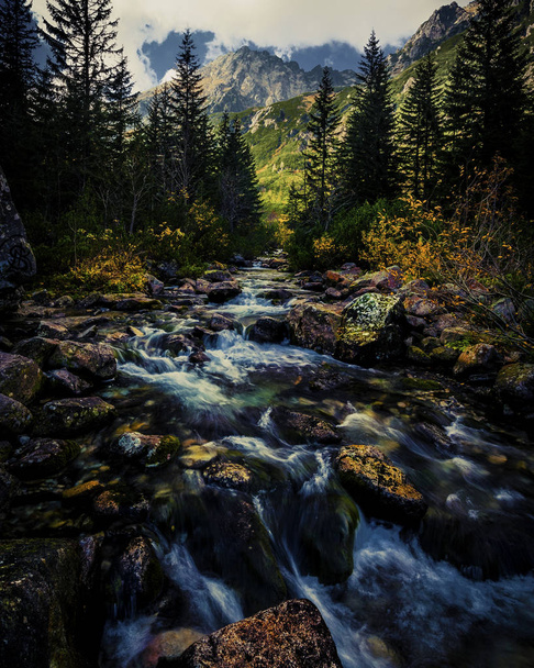 Eau vive Roztoka Stream dans la vallée de Roztoka. Parc national des Tatra., Hautes Tatras, Carpates, Pologne
.  - Photo, image