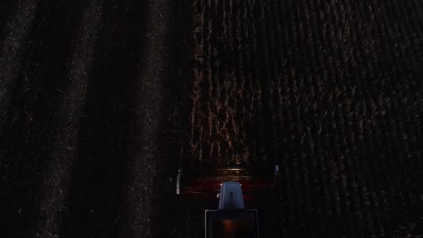 Cosechadora cosechadora cosecha de maíz en el campo nocturno
 - Imágenes, Vídeo