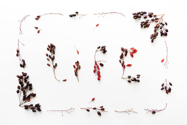 рамка украшена ветвями и ягодами с начертанной жизнью
 - Фото, изображение