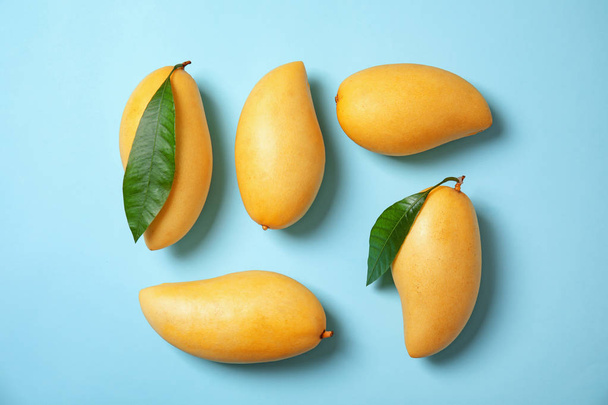 Flat lay composition with mango fruits on color background - Photo, Image