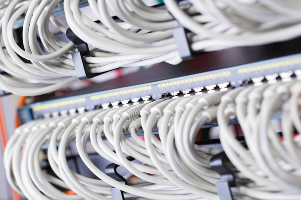 Gigabit network switch and perfect aligned patch cables in datacenter - Photo, Image