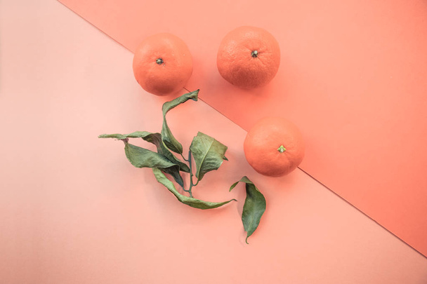 Banner s barvou v roce 2019 - živé korály. Tři mandarinky. Místo pro text. Eco koncept. Čerstvé mandarinky na barvu pozadí. Barva roku 2019 žijící Coral - Fotografie, Obrázek