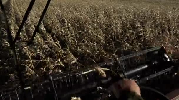 Combine la cosechadora trabajando vista de cerca desde la cabina
 - Imágenes, Vídeo