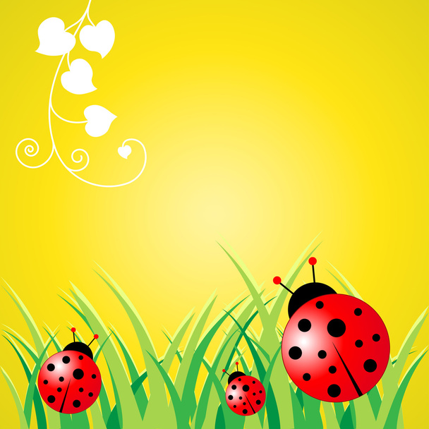 Ladybird Background - Вектор,изображение