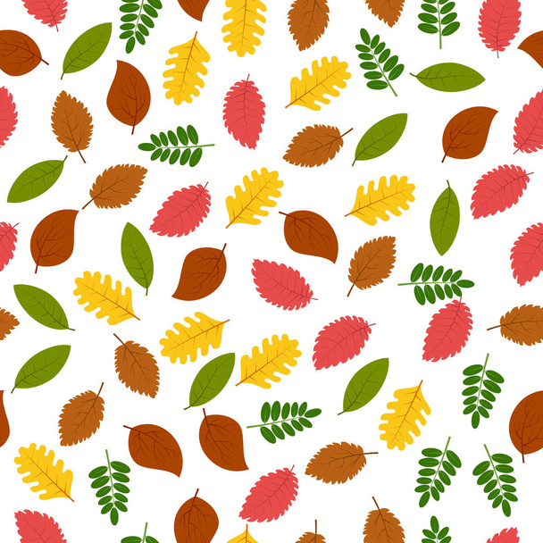 Seamless pattern with autumn leaves - Vector, imagen