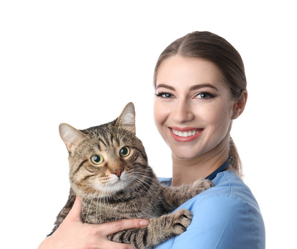 Veterinarian doc with cat on white background - Foto, imagen
