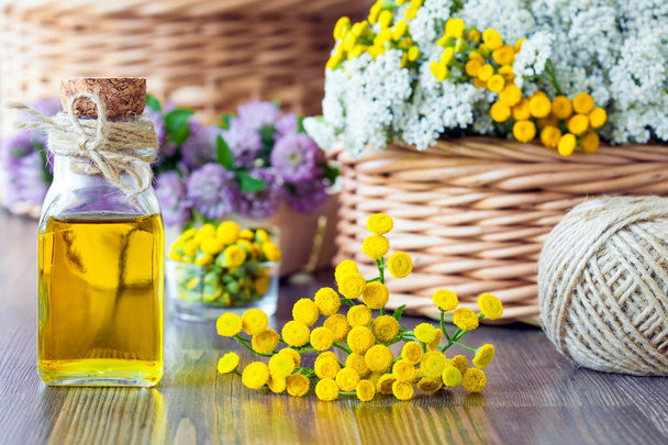 Beautiful spa and skincare composition: tansy, clover and yarrow flowers and bottle of natural oil on wooden background - Φωτογραφία, εικόνα