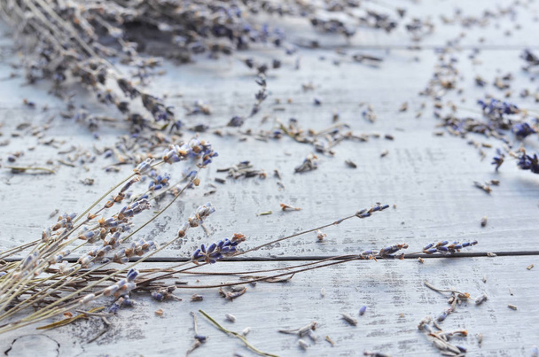 dry natural lavender flowers background - Photo, image