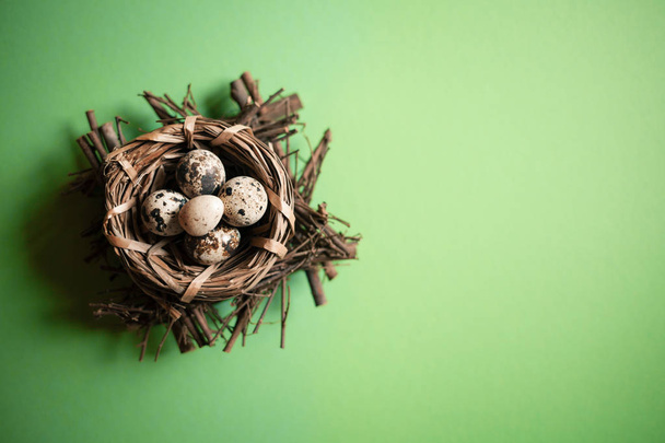 Huevos naturales de codorniz en el nido sobre fondo verde claro. Concepto de vacaciones de primavera y Pascua con espacio de copia. Nueva vida
. - Foto, imagen