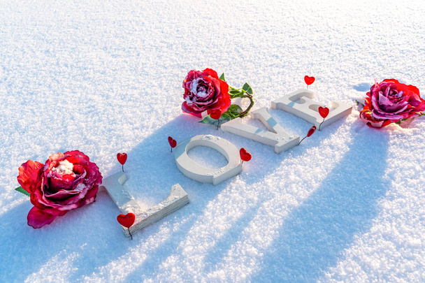 Primer plano de la palabra aislada "Amor" de la madera en la nieve en el soleado día de invierno con fondo blanco con decoraciones de corazón rojo y rosas a su alrededor - Concepto de amor, felicidad y alegría en el día de San Valentín
 - Foto, Imagen