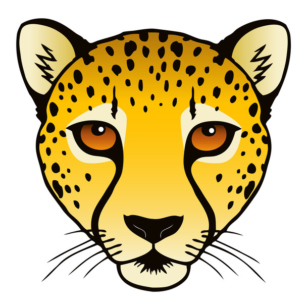 guepardo - Vector, imagen