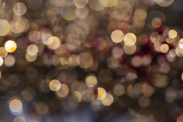 The light of the sun plays on the branches in winter. Light swirly bokeh. Background of multi-colored circles.  - Photo, Image