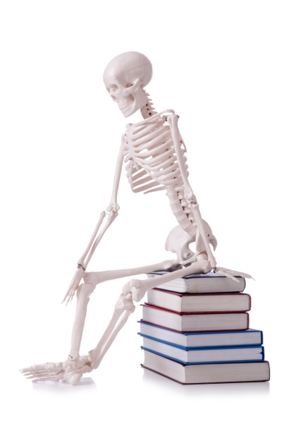 Skeleton reading books on white - Photo, Image