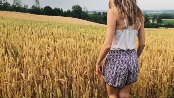 Meisje in een gouden tarwe - veld in de zomer genieten. - Video