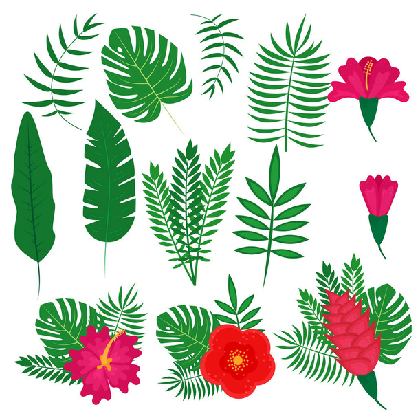 Set of tropical leaves and flowers, vector illustration - Vector, Image