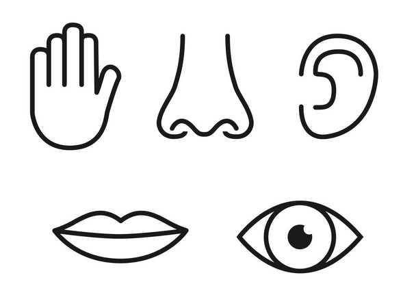 Outline icon set of five human senses: vision (eye), smell (nose), hearing (ear), touch (hand), taste (mouth with tongue). - Vector, Image