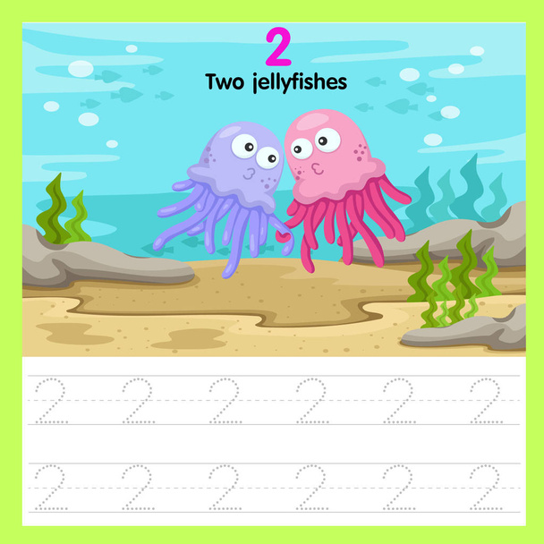 Az Illustrator munkalapon két medúzákat - Vektor, kép