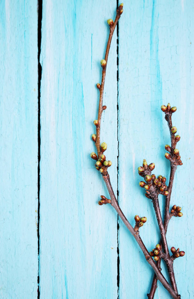 cherry branches with buds on a wooden background - Zdjęcie, obraz