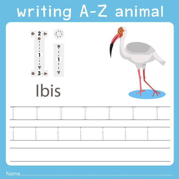 Ilustrador de escrever a-z animal i ibis
 - Vetor, Imagem