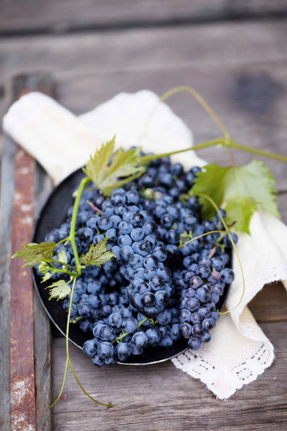 Виноград, стародавні винних сортів Каберне Совіньон - Фото, зображення