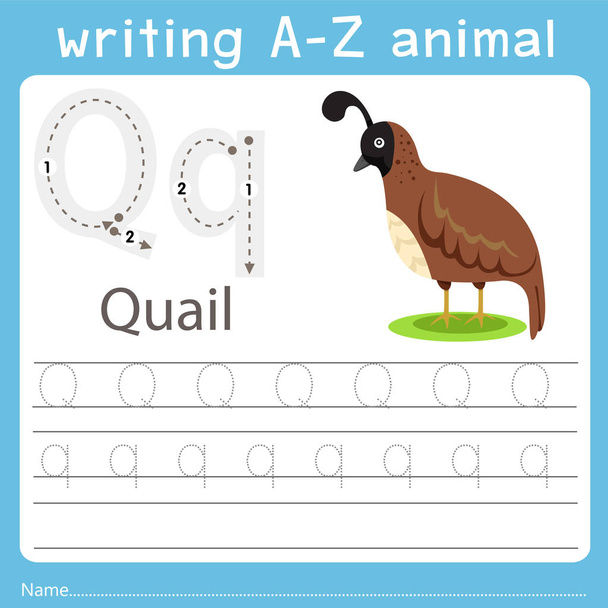 Illustrator of writing a-z animal q quail - Vector, Image
