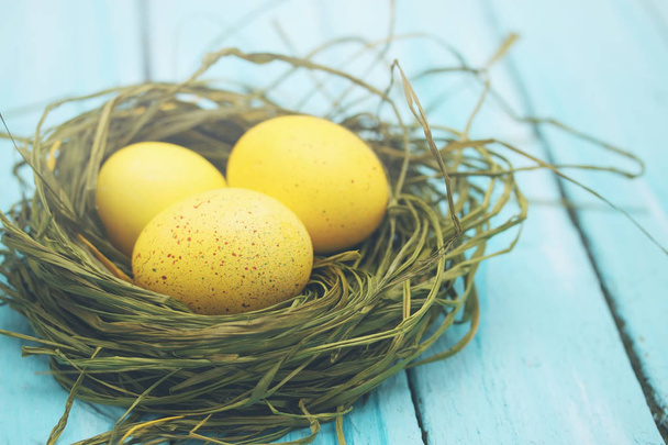 Wielkanoc martwa gniazdo kolorowych jaj - Zdjęcie, obraz