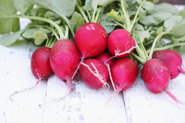 bunch of radishes on wooden boards - Photo, Image