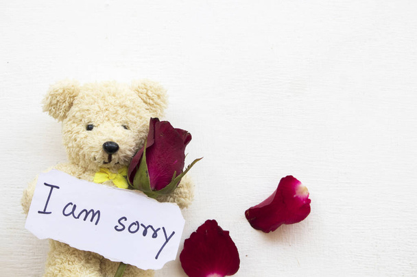 I am sorry message card handwriting with red rose flowers, teddy bear decoration flat lay style postcard send to special on background white
  - Foto, Imagen