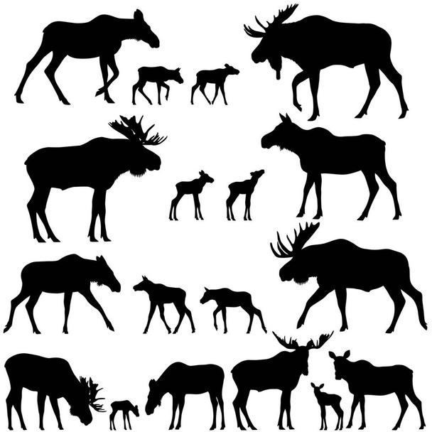 Collection of silhouettes of mooses also named elks and its cubs - Vector, Image