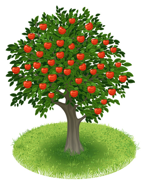 Apple Tree in green field - Vector, imagen