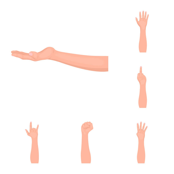 Geïsoleerde object van animatie en duim logo. Inzameling van geanimeerde en gebaar voorraad vectorillustratie. - Vector, afbeelding