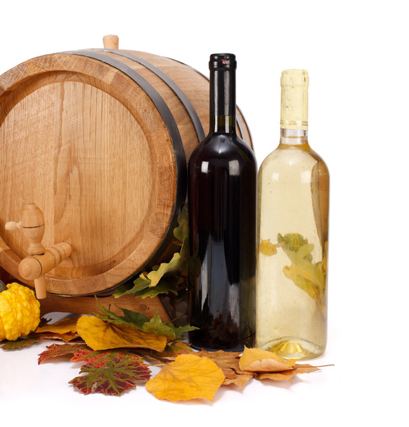 Autumn wine - Фото, изображение