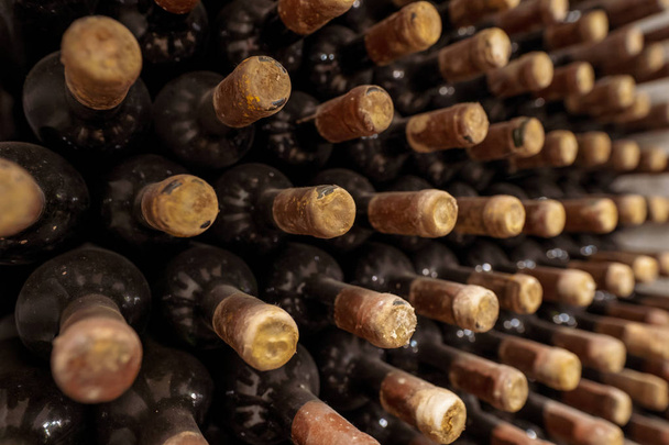 Pó e teias de aranha em garrafas de vinho velhas na adega
 - Foto, Imagem