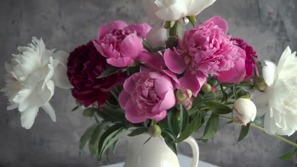 Csokor vázában színes bazsarózsa. Friss kerti pünkösdi rózsa. - Felvétel, videó