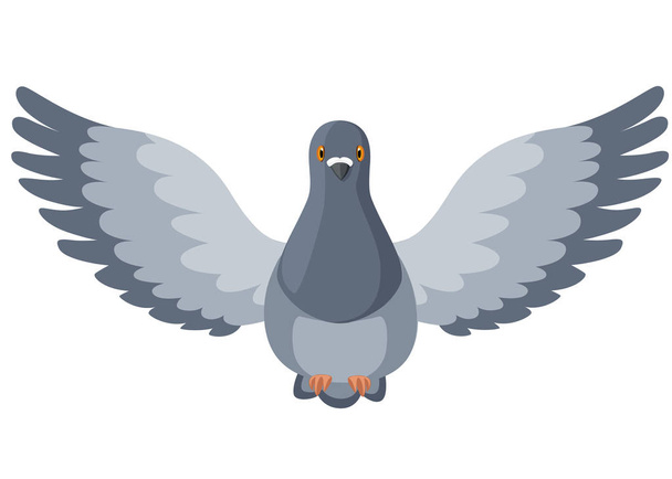 Pigeon bird flying, pigeon flaps its wings. Flat cartoon character design. Colorful bird icon. Cute pigeon template. Vector illustration isolated on white background. - Vector, Image