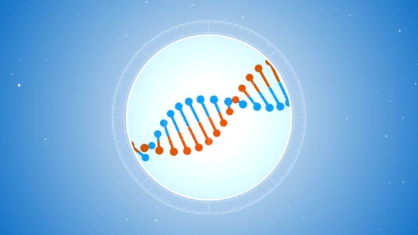 Molecola di DNA girevole blu-arancio. Situato al centro. Vista futuristica nel microscopio. Sfondo digitale blu. Concetto di genetica. Concetto di medicina o scienza. Filmati 4K
 - Filmati, video