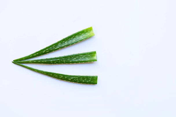Aloe vera deixa no fundo branco. Espaço de cópia
 - Foto, Imagem